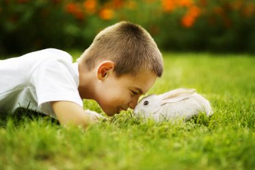 9 Reasons Why Rabbits Make Good Pets