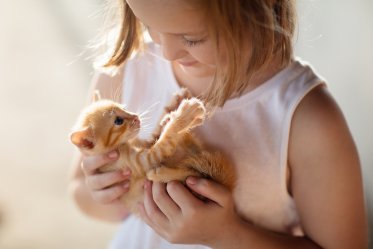 Why Cat Best for Kid's First Pet
