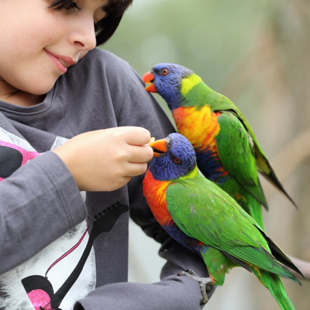 girls and parrots