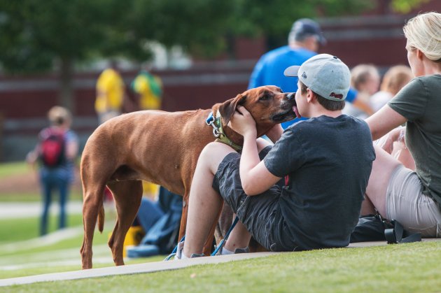 dog licks teenage boy's face at festival