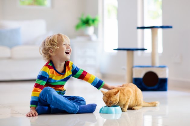 child playing with cat at home