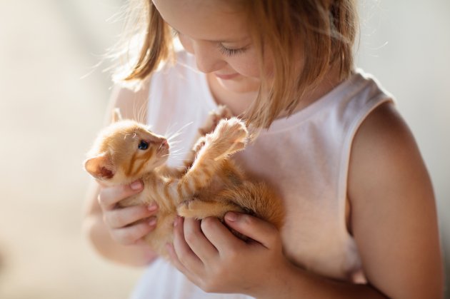 little girl holding baby cat