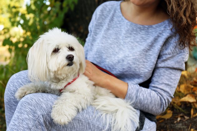 woman holding cute dog