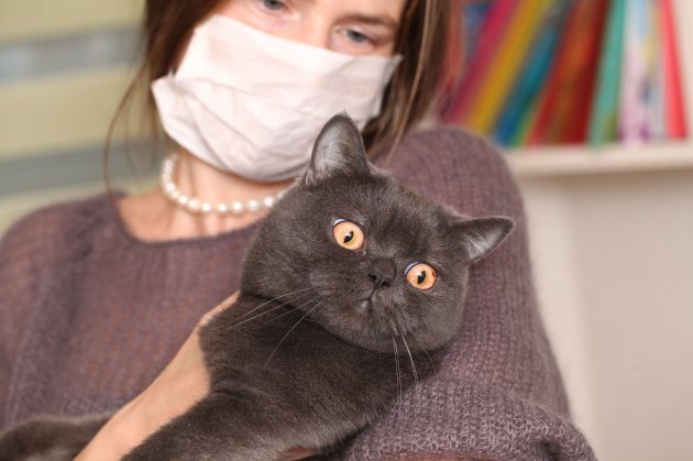 girl in medical mask holding cat