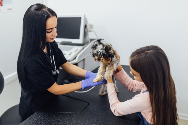 small girl at vet clinic