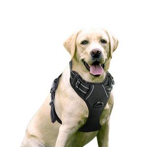 RABBITGOO Dog Harness