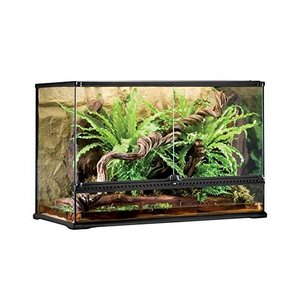 Exo Terra Large Tall Glass Terrarium