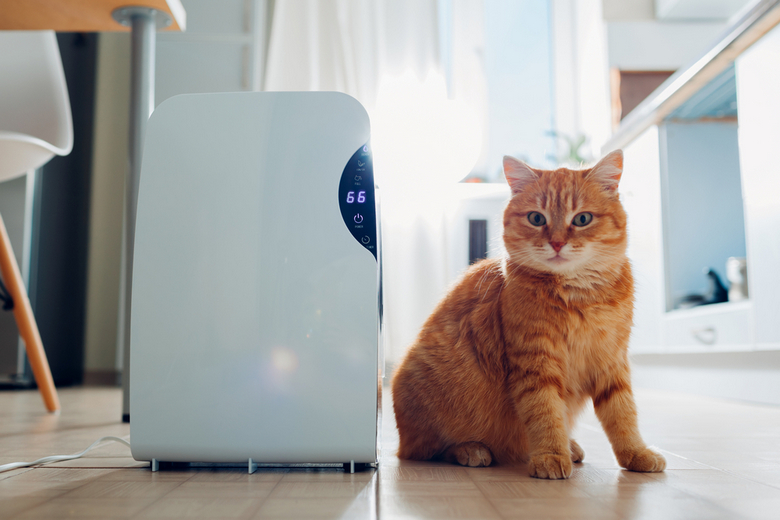 best air purifier for pets