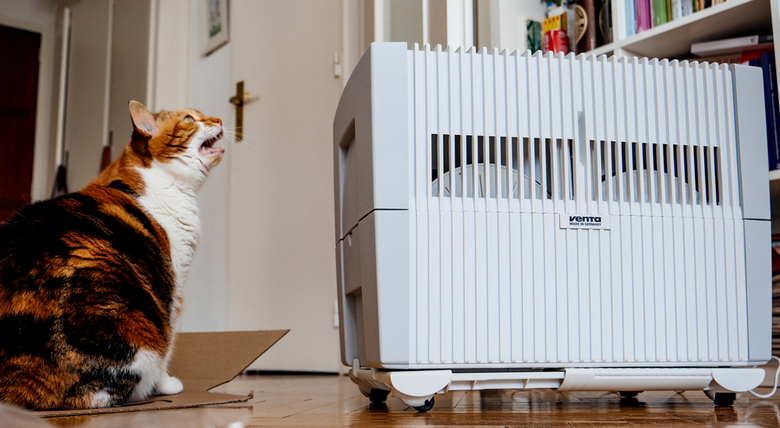 pet air purifier.