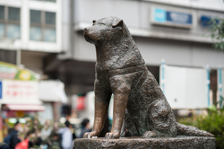 akita bronze statue