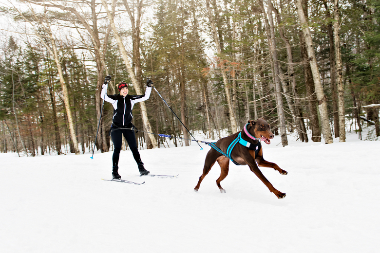 skijoring woman have fun