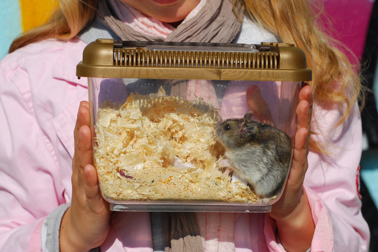 hamster carrier cage