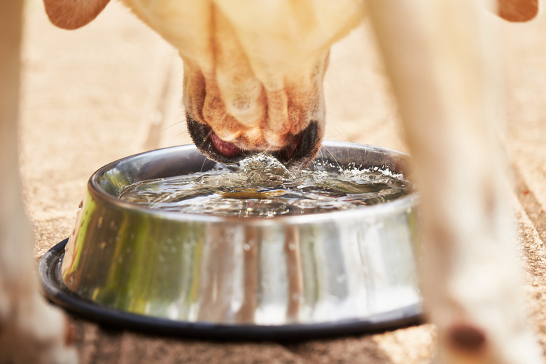 heated bowl