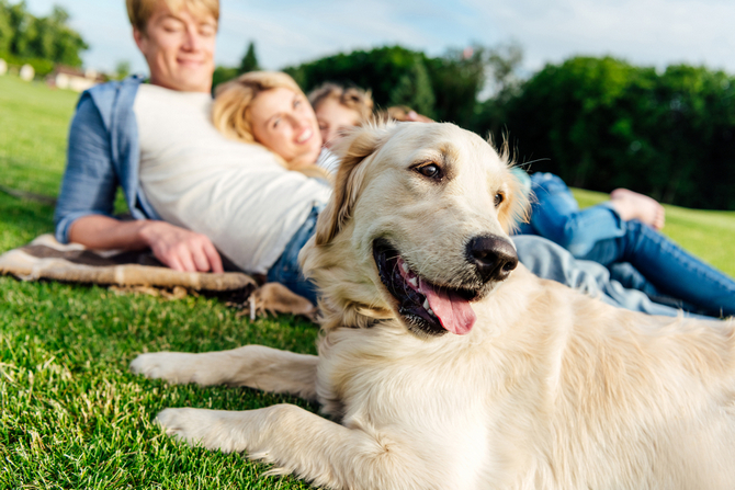 happy family with dog