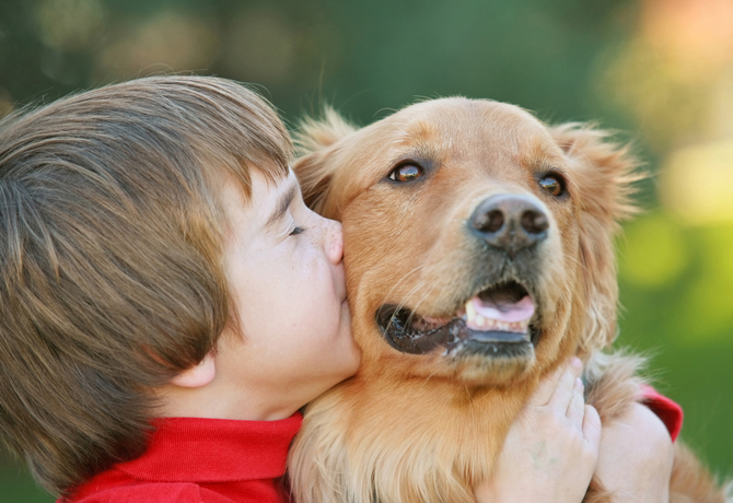 boy kissing dog