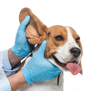 50 Best Dog Ear Cleaner Updated Jan 2019 Pet Comments