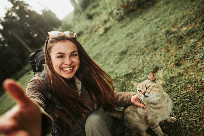 hiking cat