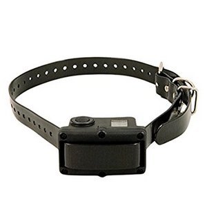 SportDOG Rechargeable Bark Control Collar