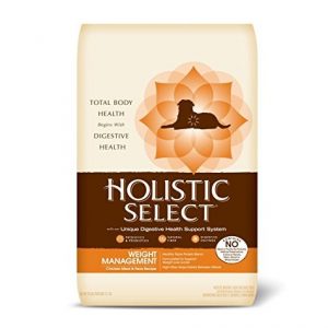 Holistic Select Natural Dry Weight Management Dog Food