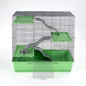 medium rat cage