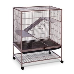 Prevue Hendryx Earthtone Dusted Rose Cage